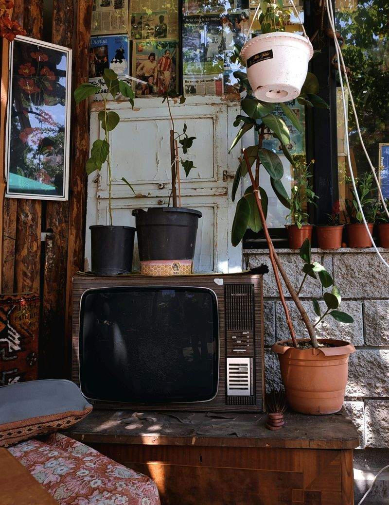Estudio Áurea TV
